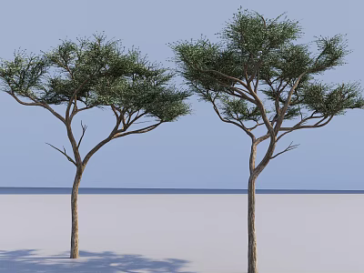Two Arbor Trees With Green Foliage And Brown Trunks Against Blue Sky 3d model