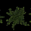 Lush Green Foliage Decorative Plant Ornament Arrangement with Vibrant Leaves