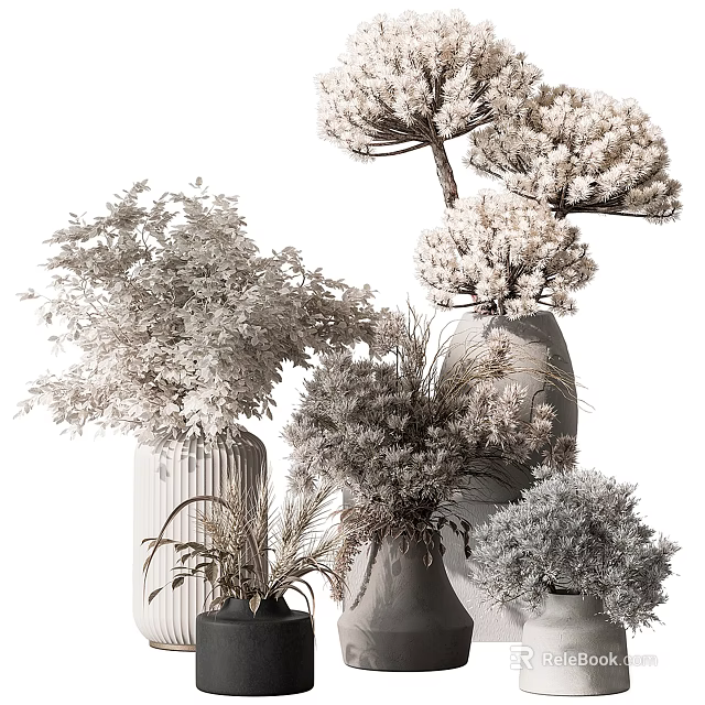 Elegant Dried Flowers And Pampas Grass In Textured Vases For Home Decoration 3d model 