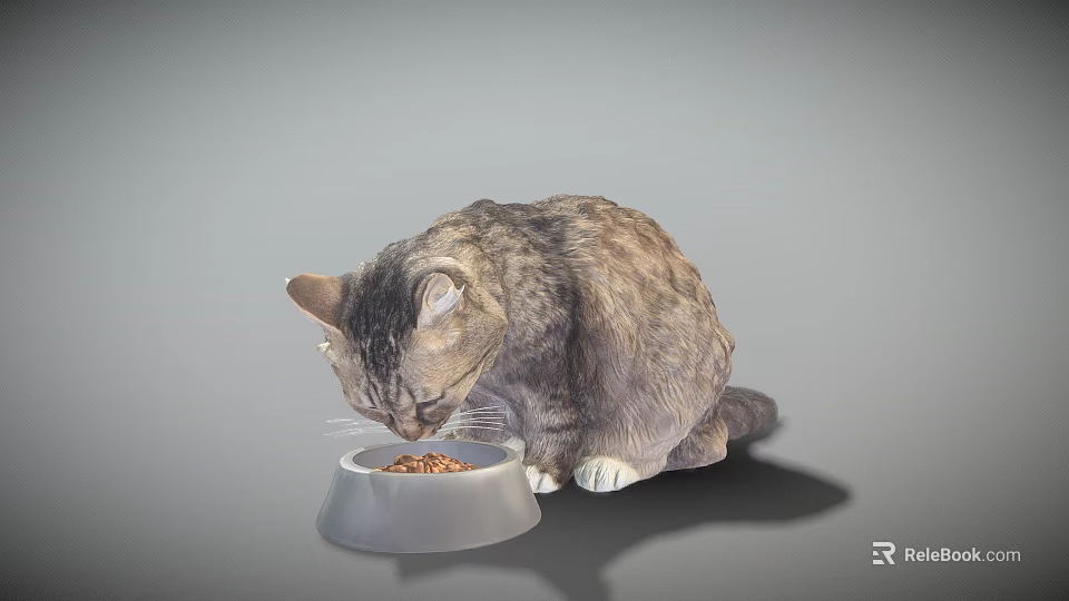 Tabby Cat Quietly Eating Dry Food From White Bowl On Gray Background 3d model 