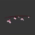 Delicate Pink Blossom Branch with Flowers on Dark Background with Reflections