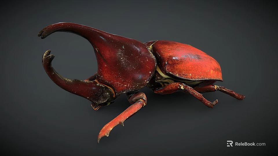 Red Beetle With Large Curved Horn And Shiny Exoskeleton On Dark Background 3d model 