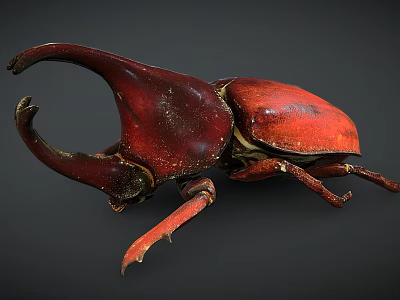 Red Beetle With Large Curved Horn And Shiny Exoskeleton On Dark Background 3d model