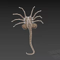 Detailed Brown Scorpion 3D Model With Segmented Body And Curved Tail