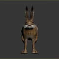 Detailed Brown Hare With Large Ears Standing On Dark Background