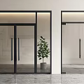 Modern Glass Double Doors in Interior Entrance With Black Frames and Green Plants