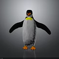 Penguin With Black And White Body Orange Feet Yellow Neck Standing With Outstretched Wings