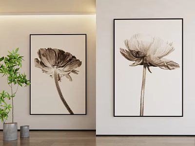 Black And White Flower Botanical Prints Hanging On Wall With Green Plants 3d model