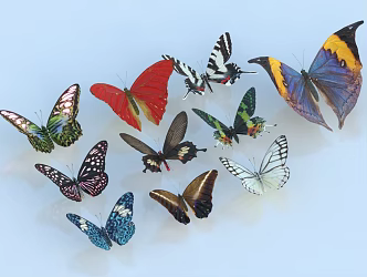 Butterfly Insect Golden Phoenix Butterfly Multi-tailed Phoenix Moth Blue Flash Butterfly 3d model