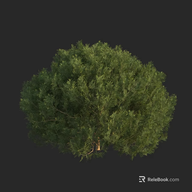 Vibrant Green Arbor With Lush Foliage And Full Canopy Structure 3d model 