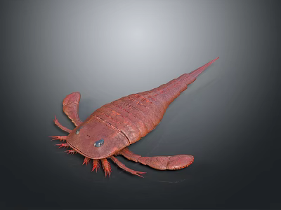 Trilobite With Reddish Brown Color Segmented Body Multiple Appendages And Long Tail Spine 3d model