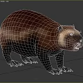 Aquatic Animal Beaver With Brown Fur And Strong Body In Natural Habitat