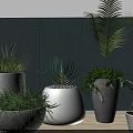 Various Potted Plants in Decorative Pots with Blue Wall and Wooden Floor