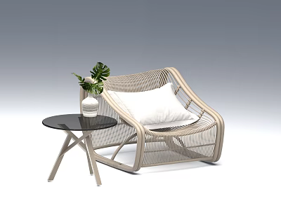 Light Colored Wicker Leisure Chair with White Cushion and Small Side Table with Green Plant 3d model