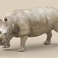 Realistic Gray Rhinoceros 3D Model Walking Pose on Beige Background 3d model