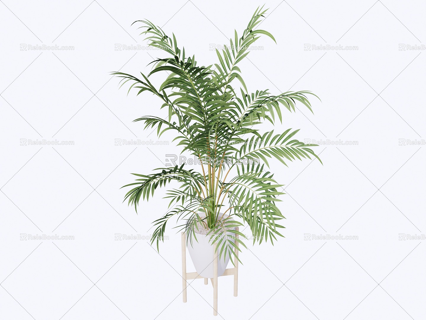 indoor potted plant 3d model