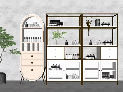 Modern Display Cabinets and Shelves with Glass Doors Drawers Decorative Items and Green Plant 3d model