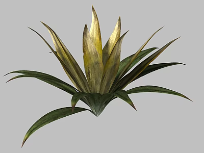 Vibrant Golden and Green Leafy Plant with Radiant Lush Foliage 3d model