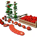 Fresh Ripe Tomatoes with Growing Plants in Wooden Crate and Sliced Pieces alongside Ketchup Bottle