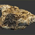 Natural Stone With Wood Like Texture And Golden Brown Crystalline Surface