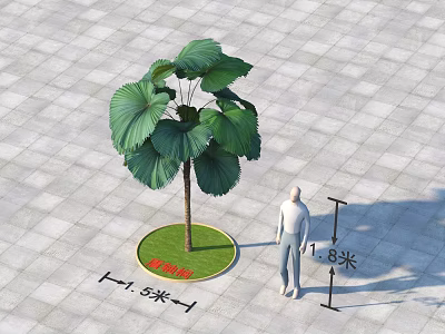 Large Fan shaped Leaves Tree on Circular Green Grass and Gray Tiles with Human Figure 3d model