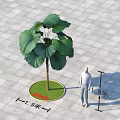 Large Fan shaped Leaves Tree on Circular Green Grass and Gray Tiles with Human Figure