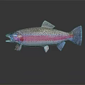 Vibrant Rainbow Trout With Pink And Blue Hues And Spotted Pattern