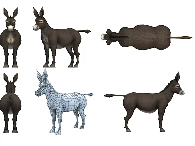 Reptile 3D Models Displaying Multiple Angles Including Wireframe And Detailed Views 3d model