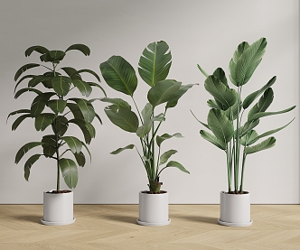 potted plant combination 3d model