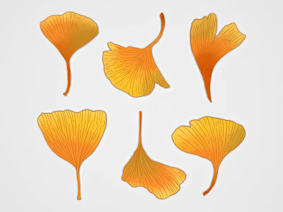 Ginkgo Leaf Illustrations With Yellow Orange Hues And Various Shapes On White Background 3d model