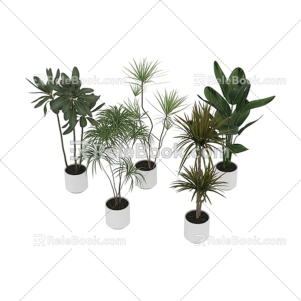 Modern potted green plants potted plants bonsai plant combination 3D model 614 3d model