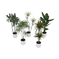 Modern potted green plants potted plants bonsai plant combination 3D model 614 3d model