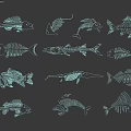 Detailed Fish Skeletons Of Various Fish Species White Line Art On Gray Background