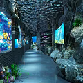 Underwater Oceanarium Tunnel With Colorful Fish Coral Large Aquarium Tanks Rock Decorations And Soft Lighting