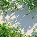Green Climbing Vines With Yellow Small Flowers On White Wall And Low Green Plants
