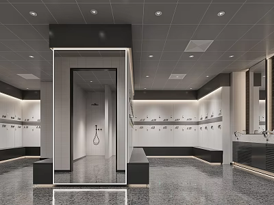 Modern Public Locker Room Design With Mirrors Shower Area And Gray Tiles 3d model