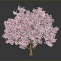Stunning Tree With Vibrant Pink Blossoms On Gray Background And Reflection 3d model