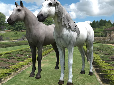 Two Gray And White Horses Standing In Lush Green Garden With Grass 3d model