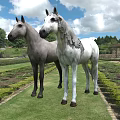 Two Gray And White Horses Standing In Lush Green Garden With Grass 3d model