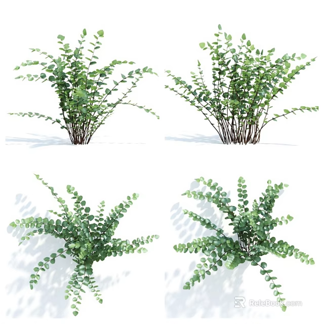 Fresh Green Plants With Lush Foliage In Multiple Pots And Various Growth Angles 3d model 
