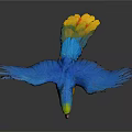 Colorful Parrot With Spread Wings And Vibrant Feathers On Gray Background