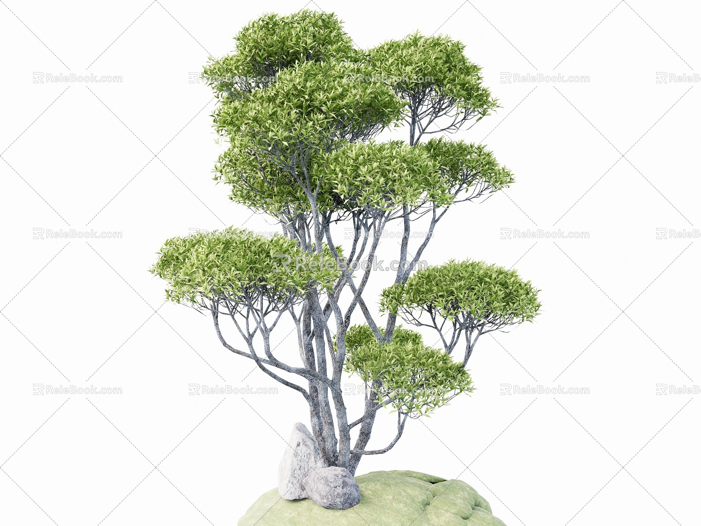 modeling tree modeling loose 3d model