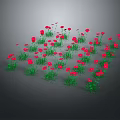 Vibrant Red Flowers With Lush Green Leaves Growing In Cluster Against Gray Background