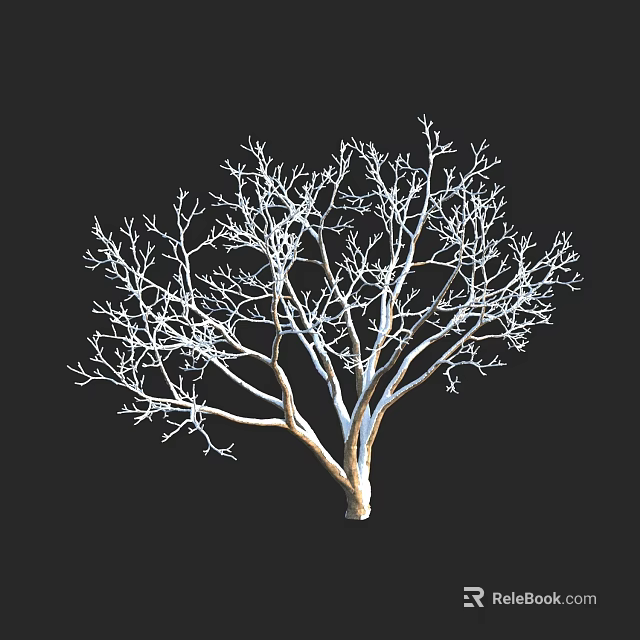 Bare Branched Tree With White Trunk Isolated On Black Background 3d model 