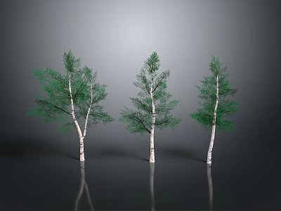 Three Trees With White Trunks Green Leaves On Black Ground Gray Background Reflections 3d model