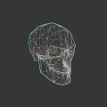 Stylized Blue 3D Skull Model for Game and Movie Characters