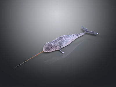 3D Model Of Gray Aquatic Creature With Long Snout Streamlined Body 3d model