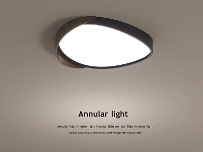Modern Annular Ceiling Light With Bright Lighting 3d model