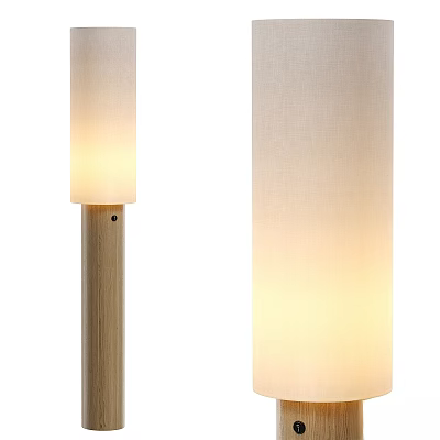 Modern Wooden Floor Lamp With Fabric Shade And Soft Ambient Lighting For Home Decor 3d model