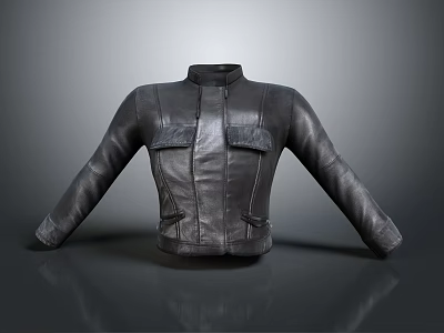 Modern Jacket Anti-Jacket Anti-Top 3d model